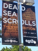 Dead Sea Scrills PIC